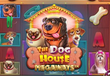 NOVOMATIC - игровой автомат онлайн от Various с RTP 97.41%